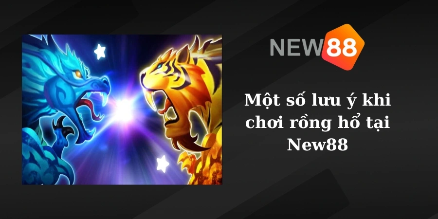 Một số lưu ý khi chơi rồng hổ tại New88